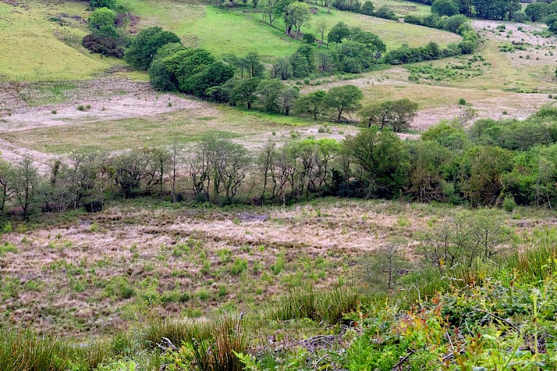 Marshy Grassland (including Rhos Pasture) - &copy; Charles Hipkin
