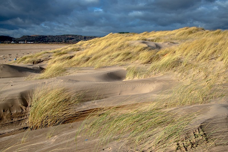 Sand Dunes - &copy; Charles Hipkin