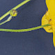 Ranunculus acris