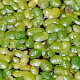 Lemna minuta