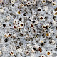 Petractis clausa