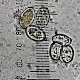 Volvopluteus gloiocephalus