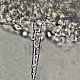 Melanoleuca brevipes