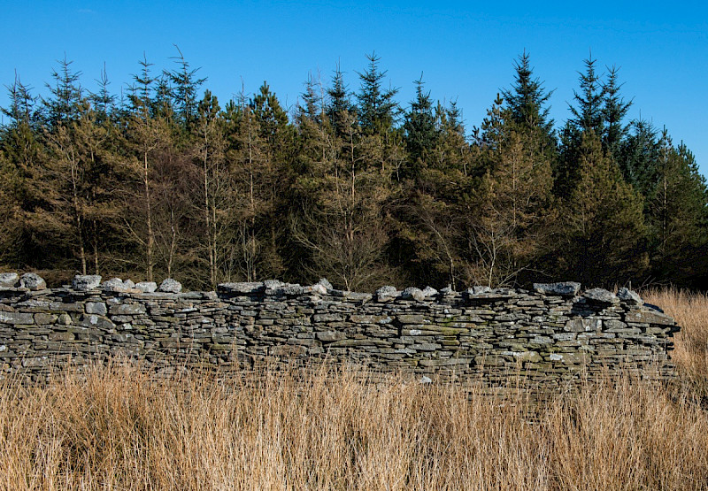 Dry Stone Walls and Field Boundaries - &copy; Charles Hipkin