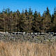 Dry Stone Walls and Field Boundaries