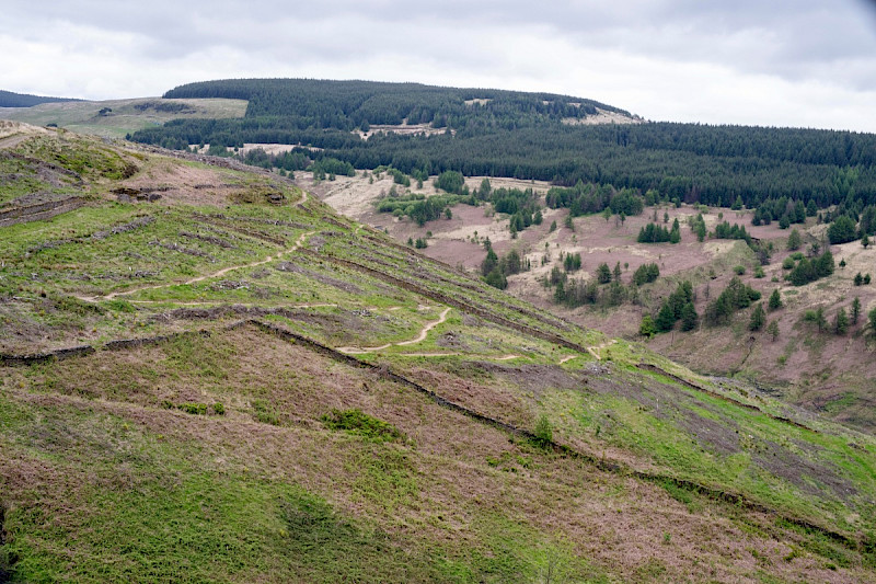 Dry Stone Walls and Field Boundaries - &copy; Charles Hipkin