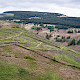 Dry Stone Walls and Field Boundaries