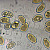 Inocybe rimosa - &copy; Charles Hipkin