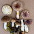 Russula versicolor - &copy; Charles Hipkin