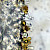 Agrocybe pediades