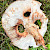 Amanita rubescens - &copy; Charles Hipkin