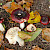 Russula atropurpurea - &copy; Charles Hipkin