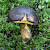 Xerocomellus pruinatus - &copy; Charles Hipkin