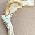 Amanita betulae - &copy; Charles Hipkin