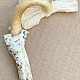 Amanita betulae